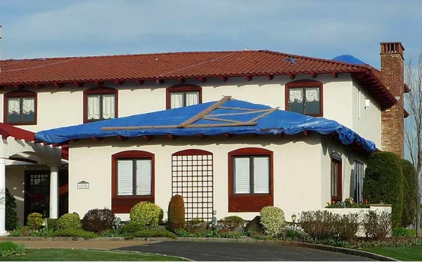 Kotap 100-ft x 100-ft General Purpose Blue Poly Tarp - Item: TRA-10100