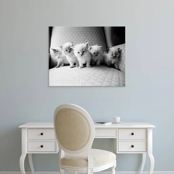 Easy Art Prints Kim Levin's 'Five Kittens' Premium Canvas Art - 11 x 14 - Modern Black Frame