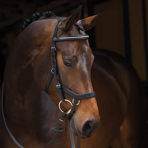 Rambo Micklem Diamante Competition Bridle - Black