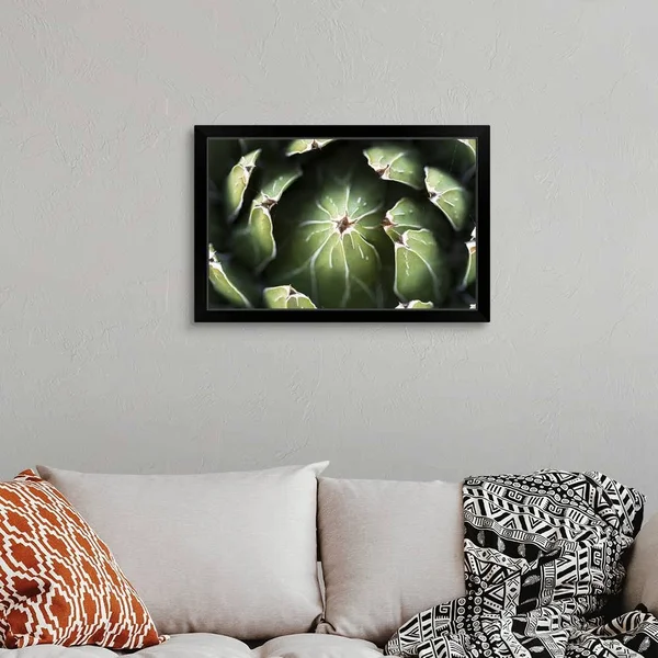 Photo Nature - Queen Victoria Agave, Black Framed Wall Art, 30x20, Great Big Canvas