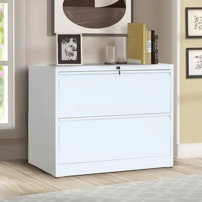 Lateral File Cabinet 2-Drawer with Lock and Key (White) Inbox Zero