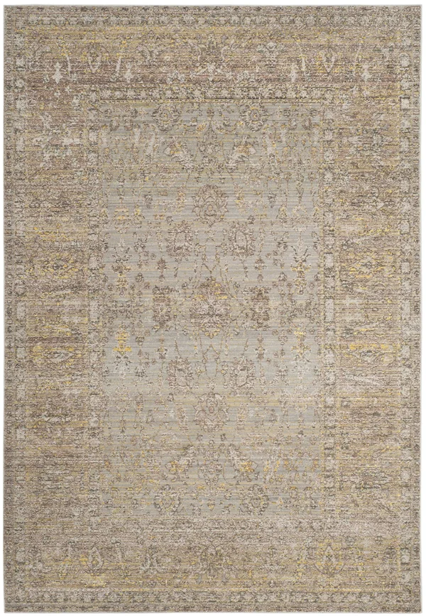Safavieh Valencia VAL123C Grey/Multi 6& x 9& Area Rug
