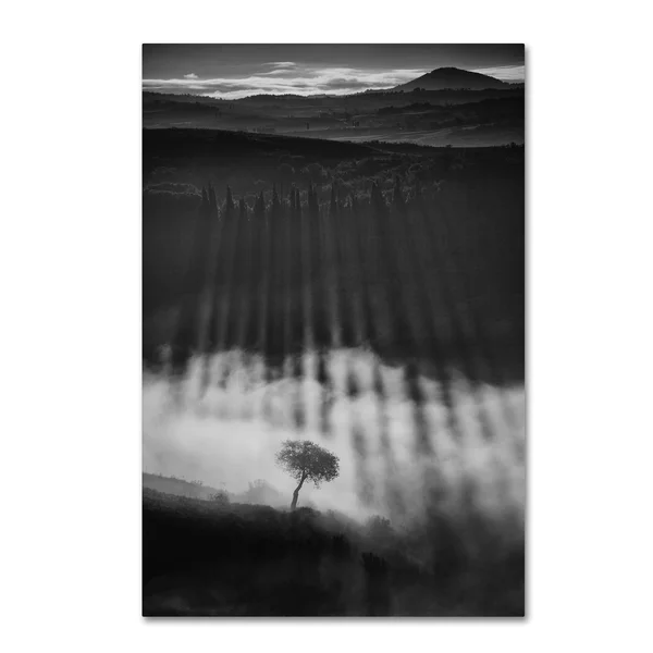 Trademark Fine Art 1X04118-C3047Gg Peter Svoboda 'Rising Up' Canvas AR